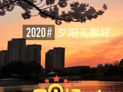-新江湾城公园