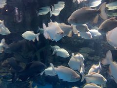 -多彩贵州城极地海洋世界