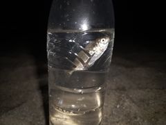 -玫瑰海岸文化旅游度假区