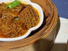 -点都德·毕德寮
