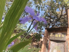 -陈炉古镇