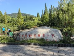-习家池