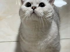 -FAELING PETS美天灵宠物(富力广场店)