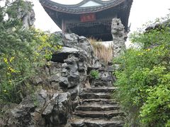 百蝠亭-朱家角课植园