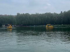-团结湖公园