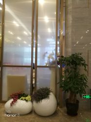 -成都艾特他整形外科医院