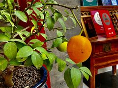 -北京古城老院厉晓麟精致菜