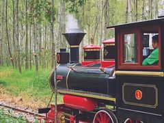 -合肥滨湖国家森林公园