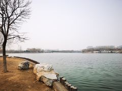 -大兴滨河森林公园