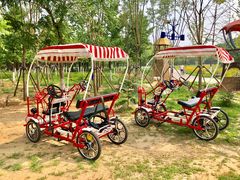 -永定河休闲森林公园