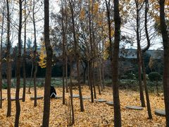-洛阳白马寺