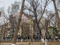 -万泉公园