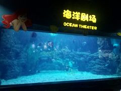 -郑州海洋馆