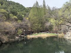 -国家植物园南园