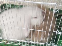 -山东嘉汇文化用品有限公司张店凤凰国际分公司(新村西路店)