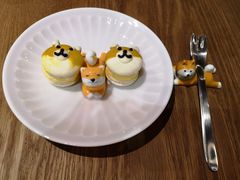 -柴务处·柴犬主题狗咖