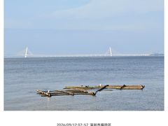 -深圳湾公园(南山区)