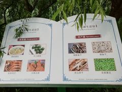 -长兴太湖图影湿地文化园