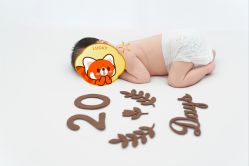 点击看大图 -玛瑞莎孕婴童摄影到家拍