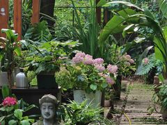 -谷咖啡·鲜花绿植花园餐厅