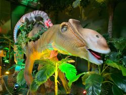 -恐龙探索乐园(磁器口店)