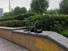 -梵行小馆烤肉(即墨店)