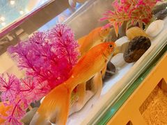 -金穗园·砂锅粥.醉鸡煲火锅(长寿路店)