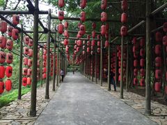 -茂德公草堂