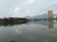 -飞来湖湿地公园
