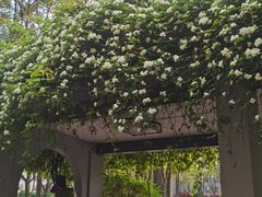 -四川大学(望江校区)
