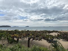 -三亚亚龙湾天域度假酒店