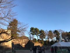 -名古屋城