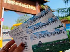 -北海金海湾红树林生态旅游区