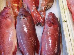 -芦潮港集贸市场