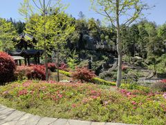 -梭布垭石林景区