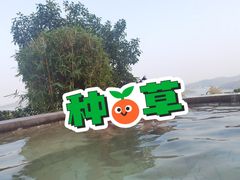 -天目湖涵田半山温泉