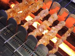 -邢氏老太太烧烤(罗湖店)