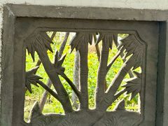 -杭州湾海上花田景区