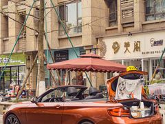 -神仙树公园