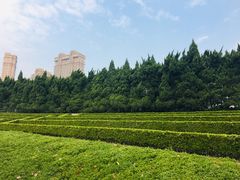 -上海市龙华烈士陵园