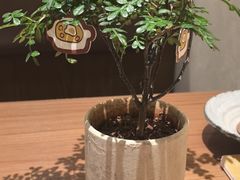 -CURRY YA 熟成咖哩專門店(深圳湾万象城店)