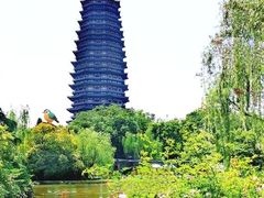 -红梅公园
