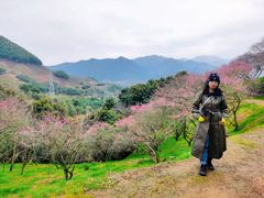 -新建村梅花