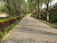-云岗森林公园