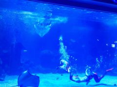 -石家庄海洋公园