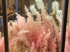 -拈菜(观音桥阳光世纪店)