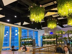 -四季合味椰子鸡(南山大冲店)