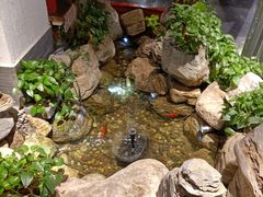 -清真·京华源铜锅涮肉(丰庆店)