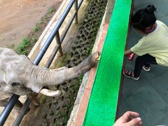 -贵州森林野生动物园