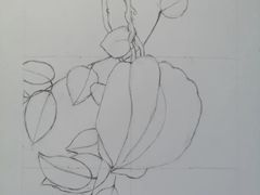 -八哥美术·成人美术画室(总校区)